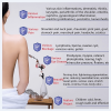 Terahertz Wave Cell Light Magnetic Healthy Device Terahertz Hair Blowers Iteracare Physiotherapy Machine Body Care Pain Relief